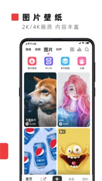 张康乐马柏全直播